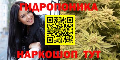 mdpv Камышлов