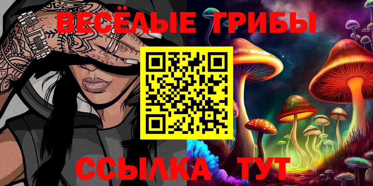 Гатчина  Псилоцибиновые грибы Magic Shrooms  Вход с VPN  Псилоцибиновые грибы Magic Shrooms 