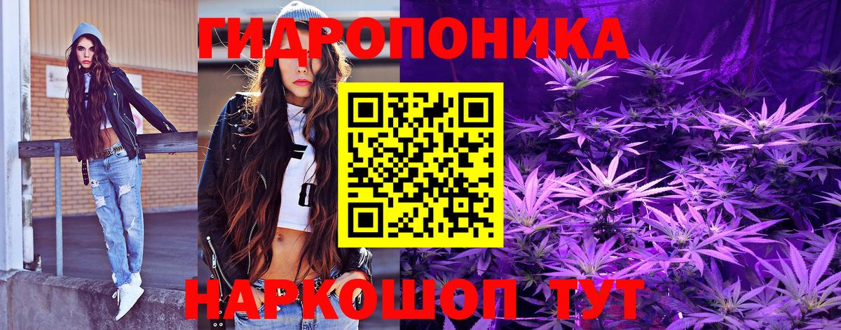 Гатчина  Шишки марихуана планчик  Марихуана планчик  Вход с VPN  Марихуана марихуана  Каннабис AK-47 